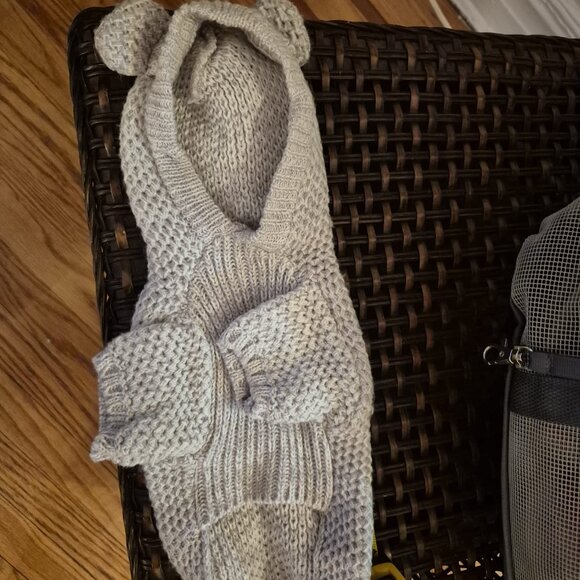 🐩 Clothes and Accessories for Dog Size S or XS  - Post 1 of 2 - Picture 14 of 16